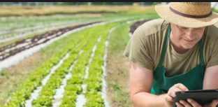 Sustainable Agriculture