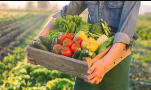 Agribusiness Services